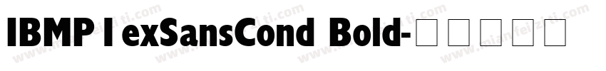 IBMP1exSansCond Bold字体转换